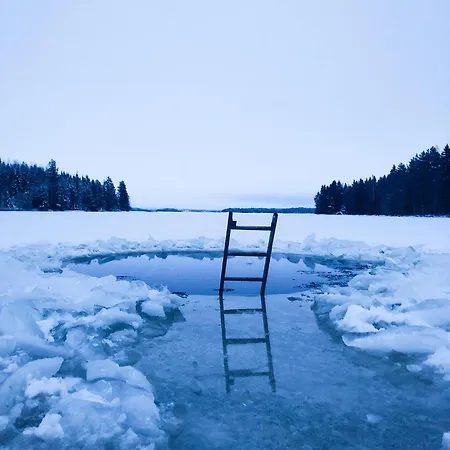 Experience Olkkajaervi Lägenhet *