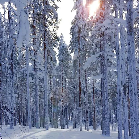 Experience Olkkajaervi * 罗瓦涅米