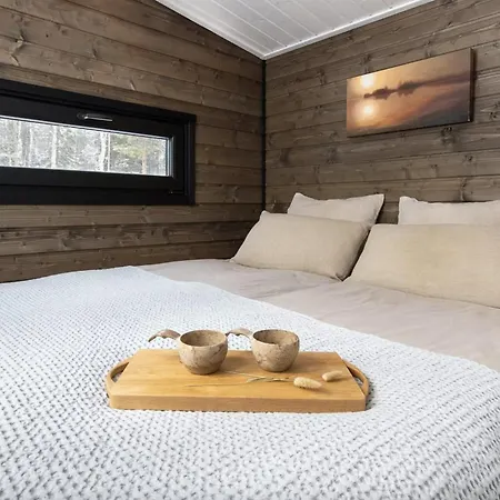 Διαμέρισμα Experience Olkkajaervi