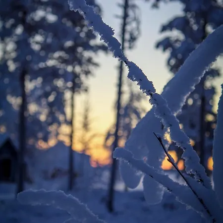 Experience Olkkajaervi Lägenhet *