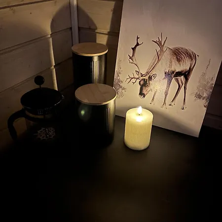 Experience Olkkajaervi Lägenhet *