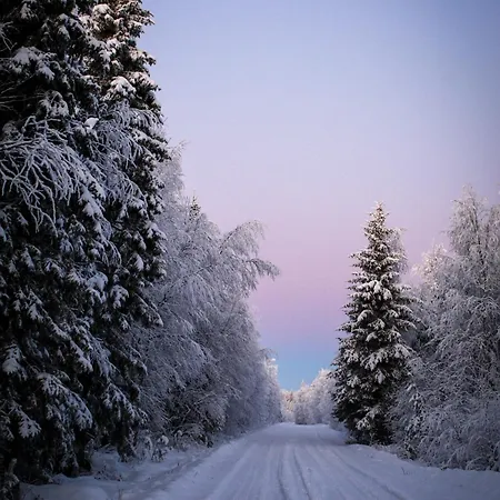 Experience Olkkajaervi *