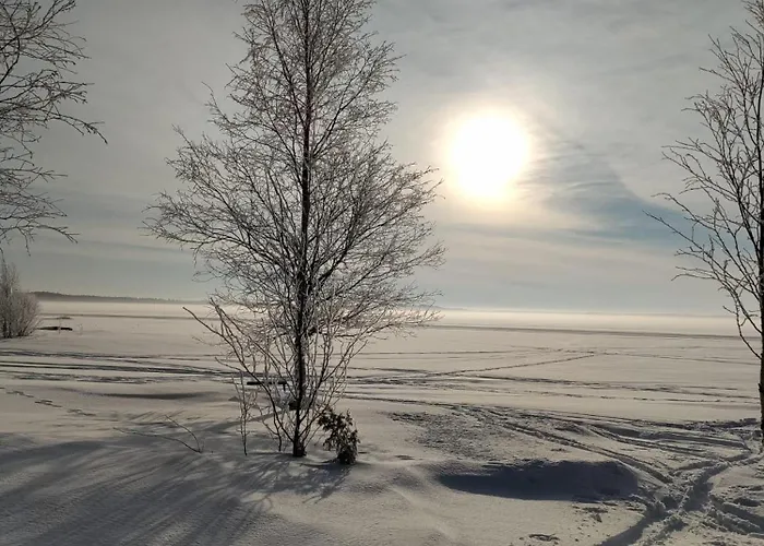 Experience Olkkajaervi Lägenhet *
