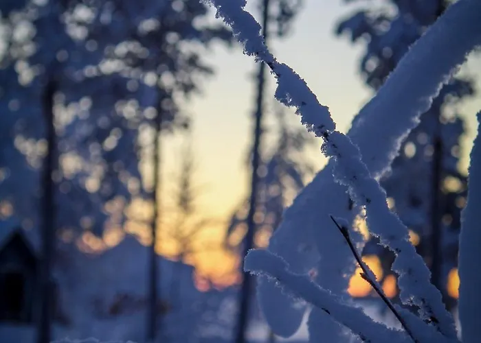 Experience Olkkajaervi Lägenhet *
