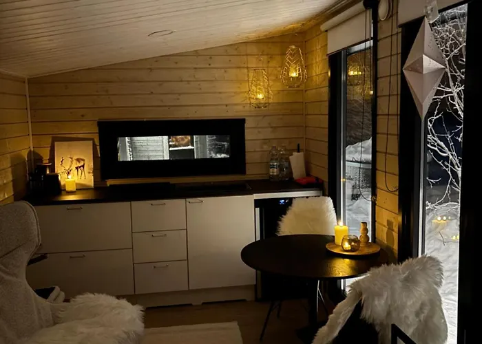 Experience Olkkajaervi Lägenhet *